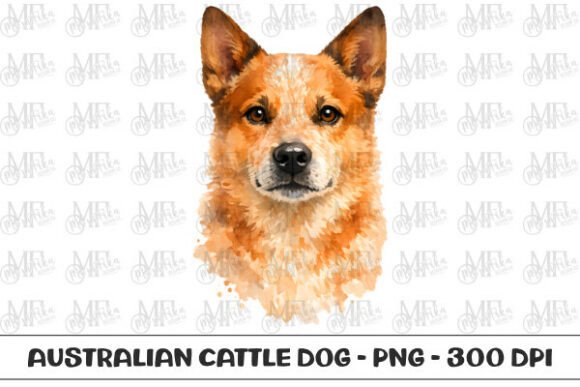 Red Heeler Watercolor Portrait PNG for Creative Projects